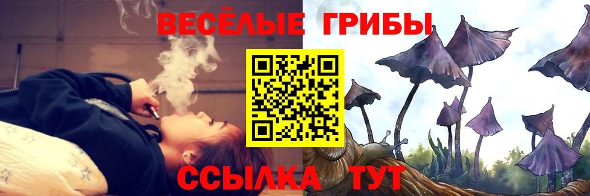 Псилоцибиновые грибы мухоморы  Вход с VPN  Тихвин 